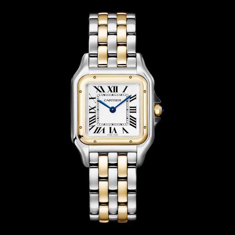 Cartier Panthère Medium Silver Dial W2PN0019
