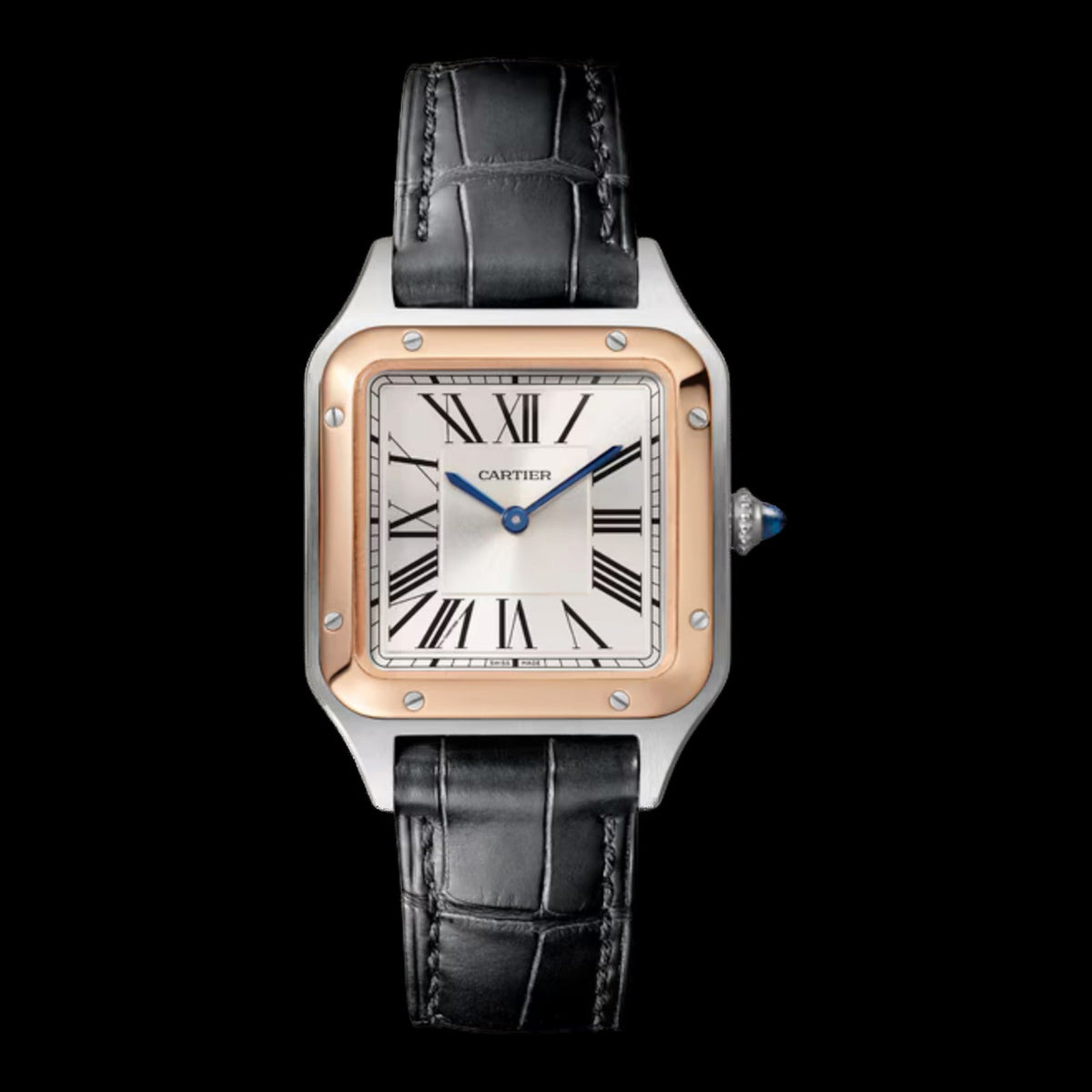 Cartier Santos-Dumont Small Silver Dial W2SA0038