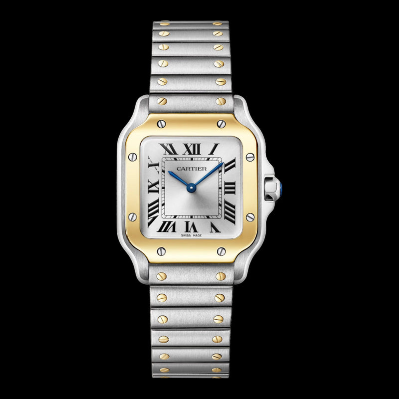 Cartier Santos Small Silver Sunray Dial W2SA0033