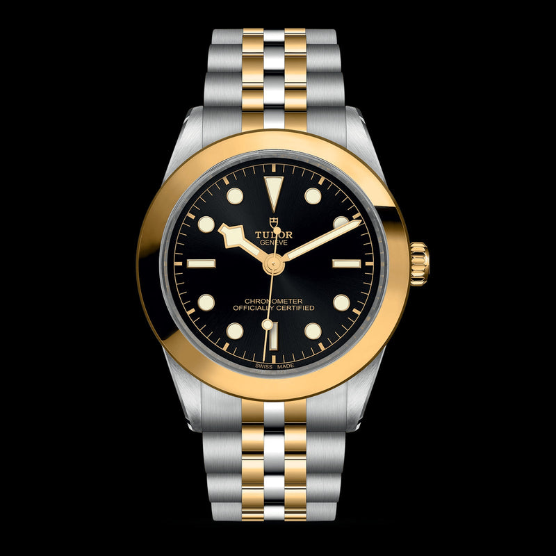 Tudor Black Bay 39 S&G Black Dial M79663-0001