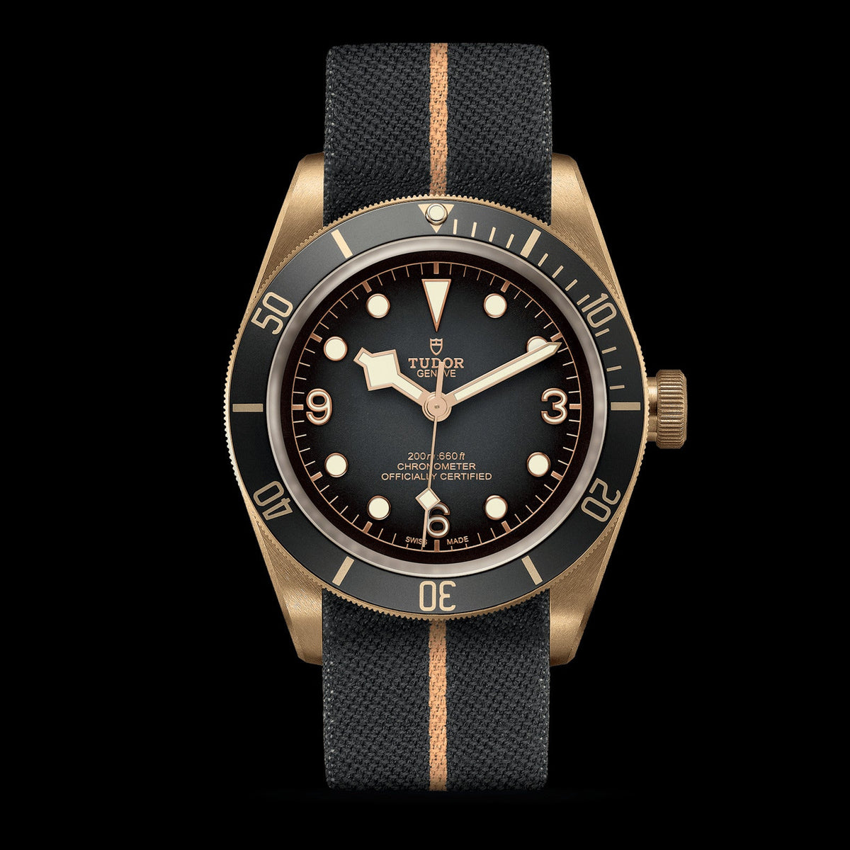 Tudor Black Bay Bronze 43mm Slate Grey Dial M79250BA-0002