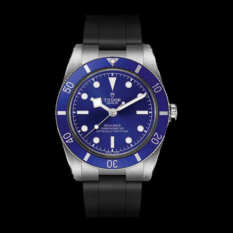 Tudor Black Bay 54 M79000B-0002